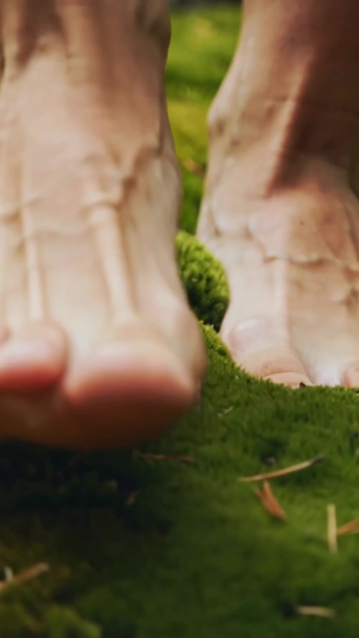 Vertical video: Stepping bare feet touching moss in woods, rolling over pine needles and twigs