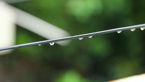 clear water droplets on a black telephone wire after rain