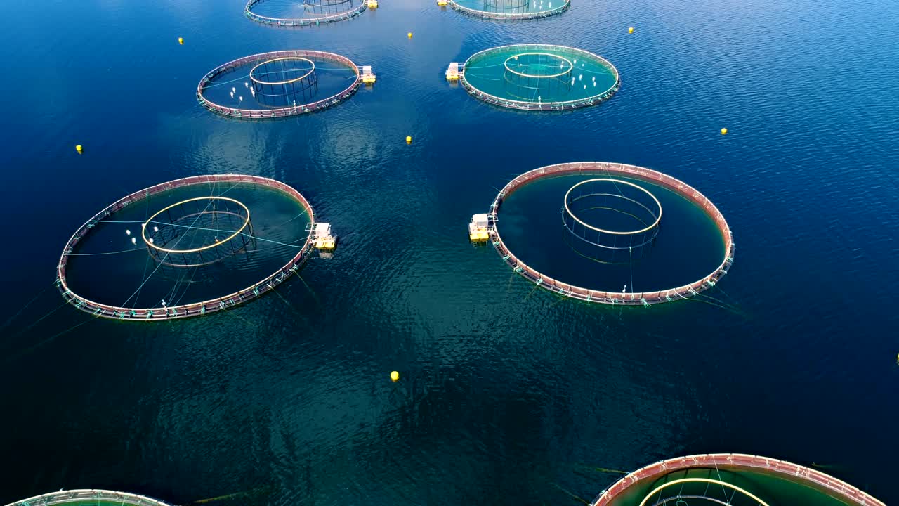 노르웨이에서 연어  ⁇ 시를 하는 공중 촬영