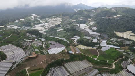 general landscape view of the brinchang district within the cameron highlands area of malaysia