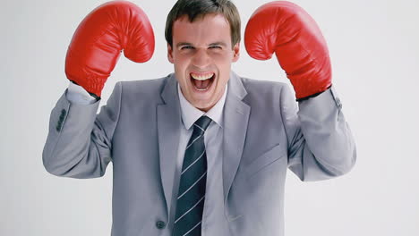 smiling businessman wearing boxing gloves