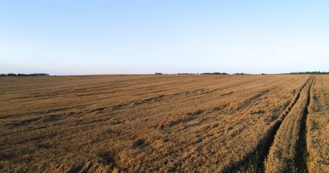 Fliegen-über-Weizenfeld-Landwirtschaft-3