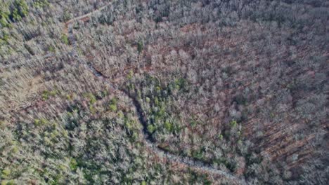 A-cool-fall-day-on-the-Blue-Ridge-Parkway