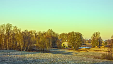 Eine-Aufgehende-Sonne-Bedeckt-Langsam-Eine-Waldlandschaft-Wie-Eine-Gelbe-Decke