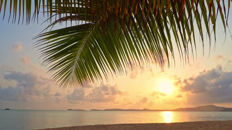 Inclinación-Hacia-Abajo-Sobre-La-Playa-Del-Paraíso-Tropical-Y-El-Mar-Con-Palmeras-Al-Atardecer