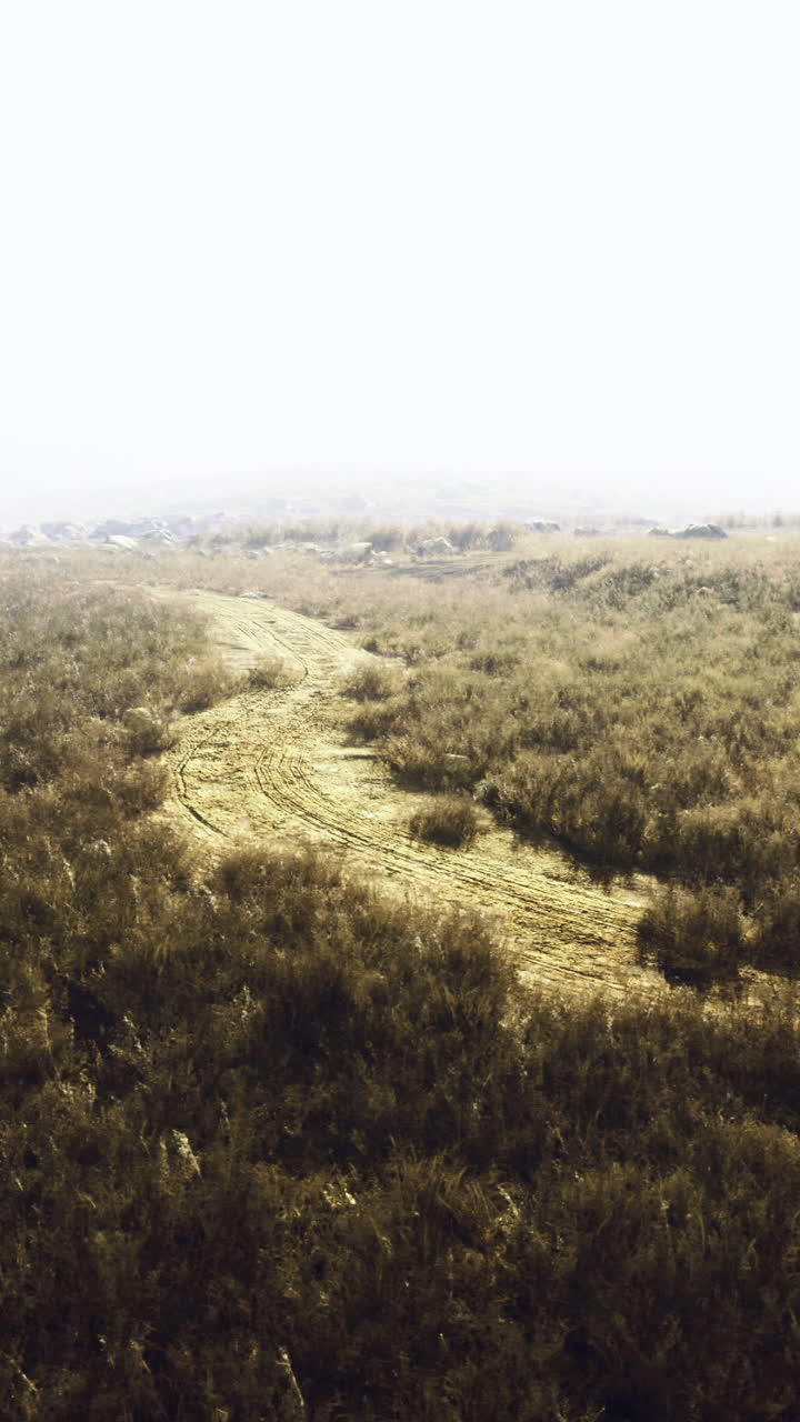 Sunlight filters through mist over a winding path in a grassy landscape