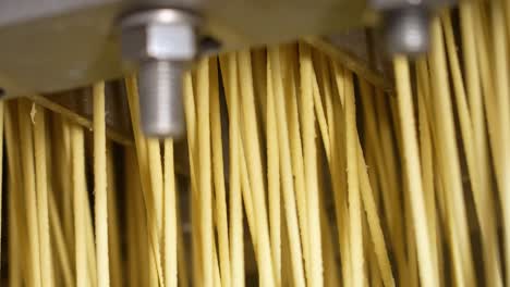 Noodles-in-strips-in-an-industrial-processor