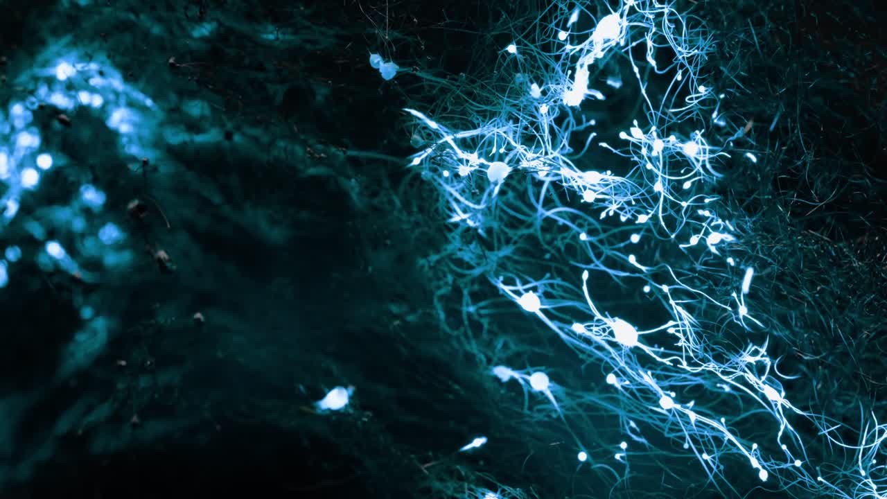 A small amount of blue energy rises up from the bottom left before exploding all over the scene, emitting bright blue light and burning material along the way
