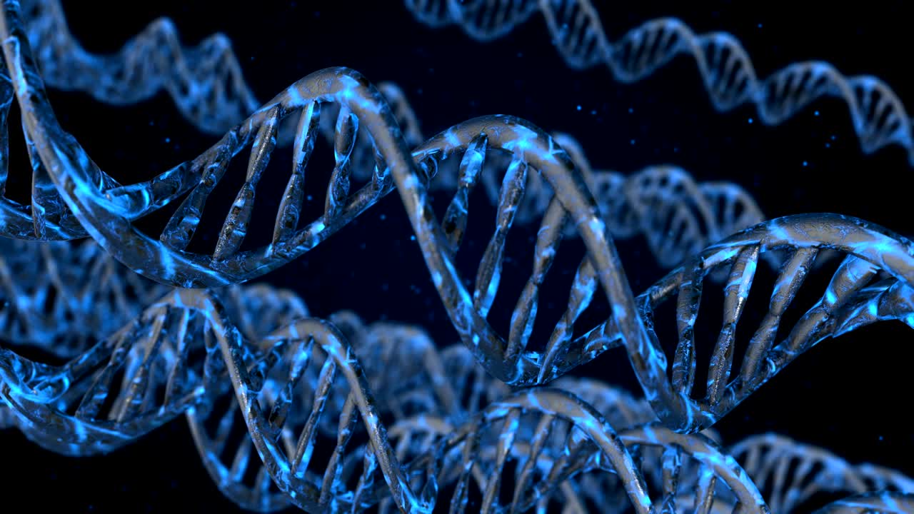 código de adn. abstracto 3d marco de alambre poligonal dna molécula hélice en espiral. animación en bucle.