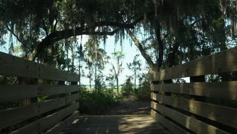 Lake-Louisa-Staatspark,-Clermont,-Florida