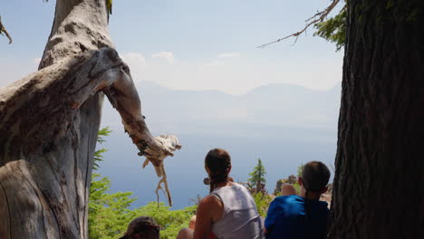 three people enjoying a scenic view of a vast lake and mountains from a forest overlook