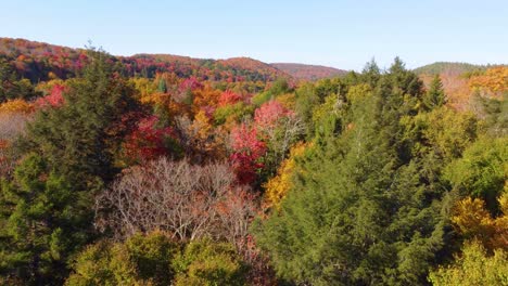 treetop view of rural autumn forest with rolling hills on the horizon in montreal