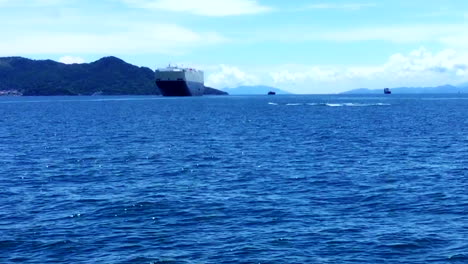 humpback whale at the entrance of the panama canal on a sunny day near taboga island 3