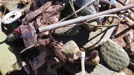 desert trash and cactus: environmental pollution