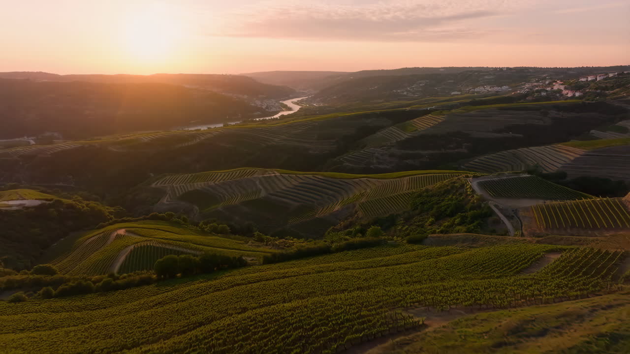 Tramonto mozzafiato su lussureggianti vigneti a terrazze e paesaggio fluviale