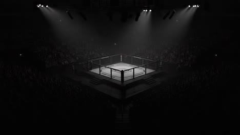 a dramatic contrast between two frames of a thrilling championship fight scene in an intense arena setting with focused lighting on the ring