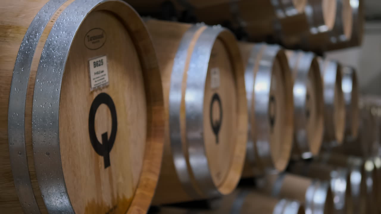 Barili di vino in una cantina