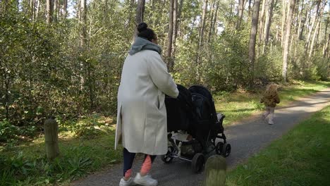 mom pushing stroller with two babies in a forest path