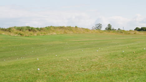 balls on the grass of the golf course.