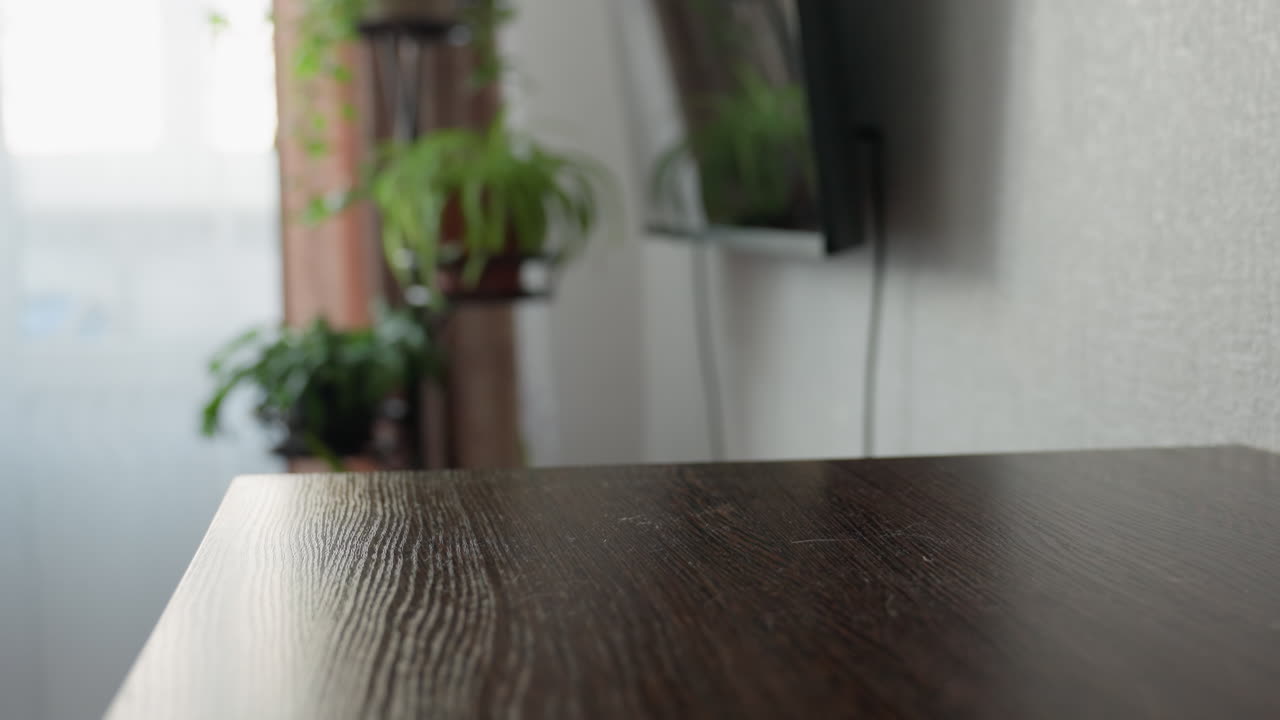 Quick Toy With Feathered Fun, Swiftly Moving Plaything With Feathers Captivates Pet In Lively Amusement, Toy That Quickly Glides And Delights Pet With Feathered Entertainment During Play