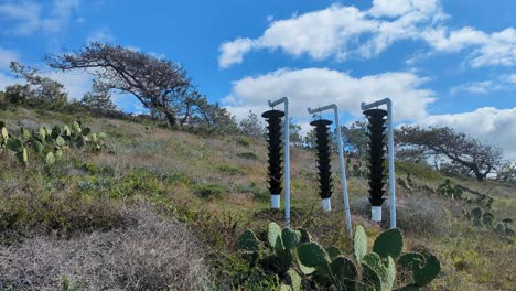 amplia vista de las trampas de embudo de escarabajos de pino colgantes a lo largo de la pista de senderismo con cactus y colinas cubiertas de hierba