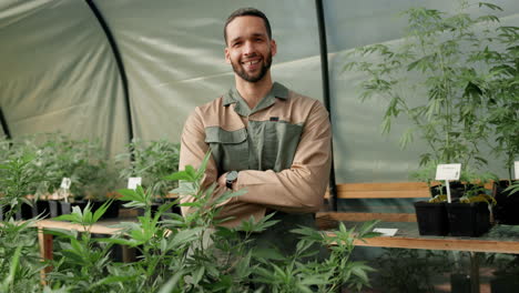 man in greenhouse with cannabis plants