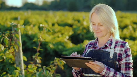 una agricultora satisfecha usa una tableta cerca de su jardín antes del atardecer