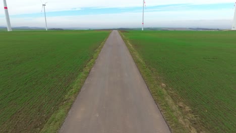 carretera estrecha a través de turbinas eólicas en campos verdes