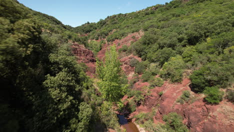 Red-sedimentary-rocks-and-vegetation-Salagou-Lake-area-aerial-shot-sunny-day