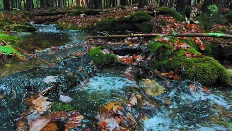 Zeitlupenaufnahmen-Eines-Anschwellenden-Baches,-Der-Im-Spätherbst-Durch-Einen-Feuchten-Wald-Fließt