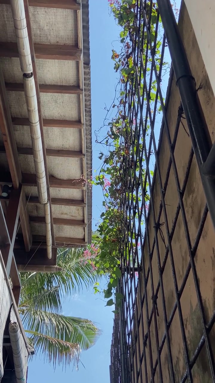 Vista em Ângulo Baixo de Arquitetura Tropical com Plantas Trepadeiras