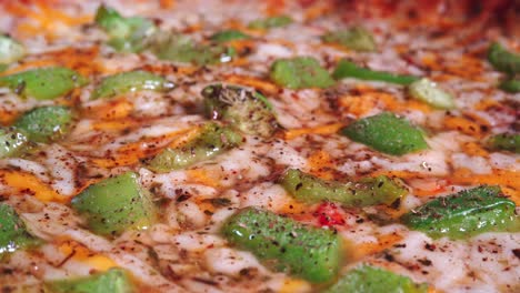 Vegetarian-Pizza-extreme-close-up-shot