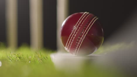 vida muerta de cricket con primer plano de la pelota en el bate acostado en la hierba delante de los troncos 3