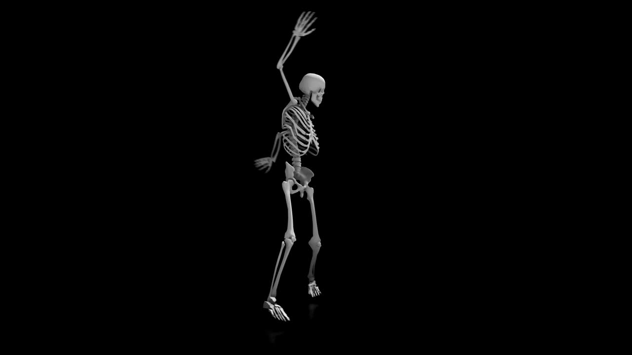 danza dello scheletro su uno sfondo nero isolato con pavimento riflettente, animazione a loop senza cuciture
