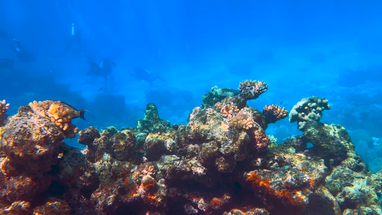 Underwater 4K HDR of the Great Barrier Reef in Queensland, Australia in December 2022