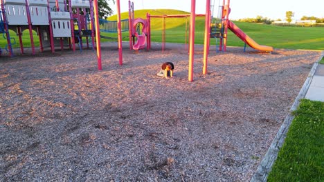 happy child enjoys playground on sunny evening, aerial descend view