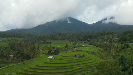 Exuberantes-Terrazas-Verdes-De-Campos-De-Arroz-En-Bali.-Vista-Aérea-De-Campos-Agrícolas-Irrigados-Y-Montañas-Nubladas-Con-Selva-Tropical-En-El-Fondo