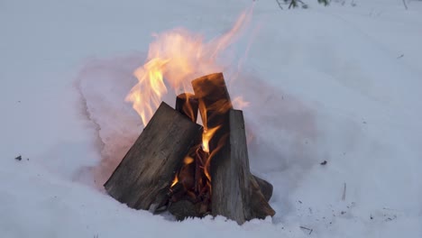 Hartholzstämme-Brennen-über-Lagerfeuer-In-Winterlandschaft