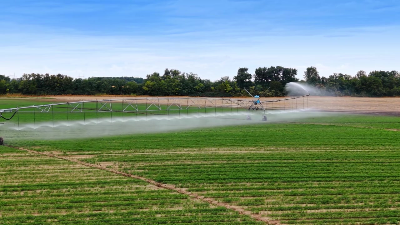 Macchina per l'irrigazione che spruzza nebbia d'acqua su un campo agricolo verde. Vista laterale di un sistema di irrigazione meccanizzato che irriga piante agricole verdi in una giornata di sole