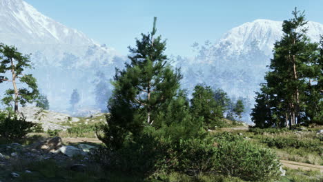 majestic mountain range with lush green trees and a snow-covered peak