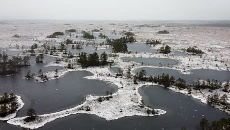 Vista-Aérea-De-Drones-Del-Paisaje-Del-Lago-Pantanoso-Congelado