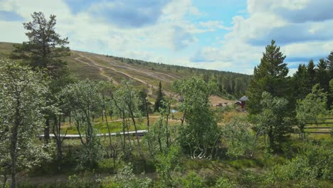 Flying-over-the-green-trees-towards-the-hill-in-Dalarna,-Sweden--Aerial