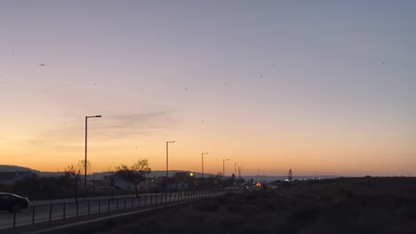 serene sunset over quiet road with streetlamps, peaceful twilight, urban landscape and travel view