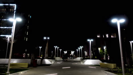 night walkway in city park