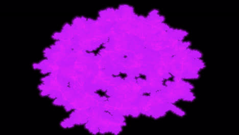 purple fractal spiral