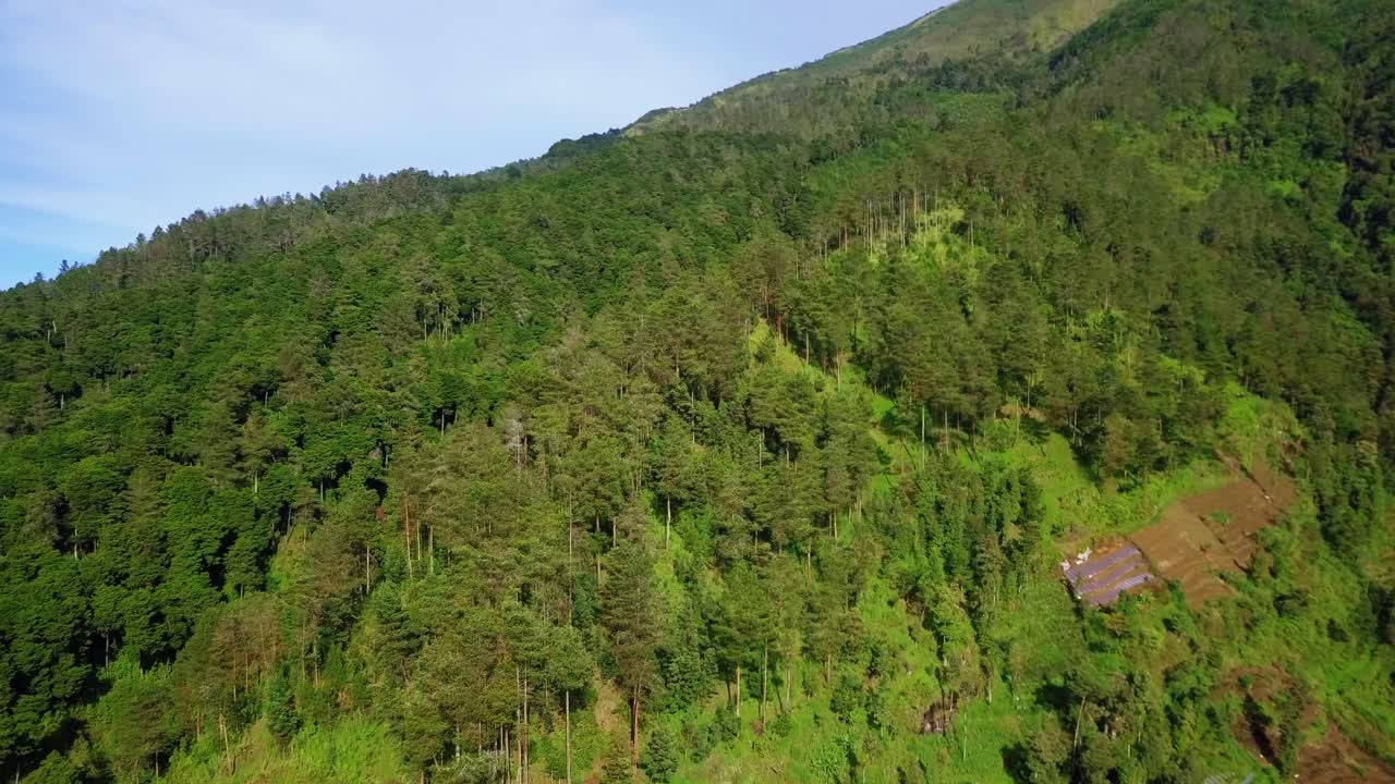 revelan imágenes de drones ladera de la montaña con vista a la selva tropical