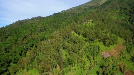reveal drone footage slope of mountain with view of rain forest