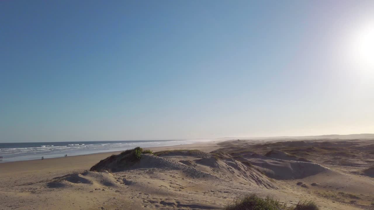 Lonely in the "Desert" of Newcastle, Australia