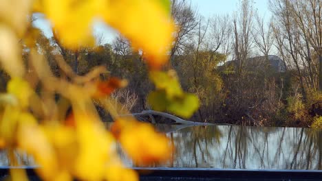 River-bank-at-sunset,-beautiful-views