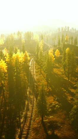 train tracks in a foggy forest